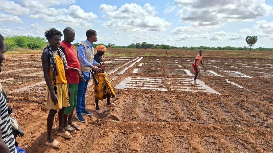 Dollow Farmers Embrace Coordinated Production as Irrigation Access Improves